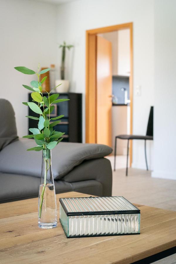 Ferienhaus Kaiserbaum イルミッツ エクステリア 写真