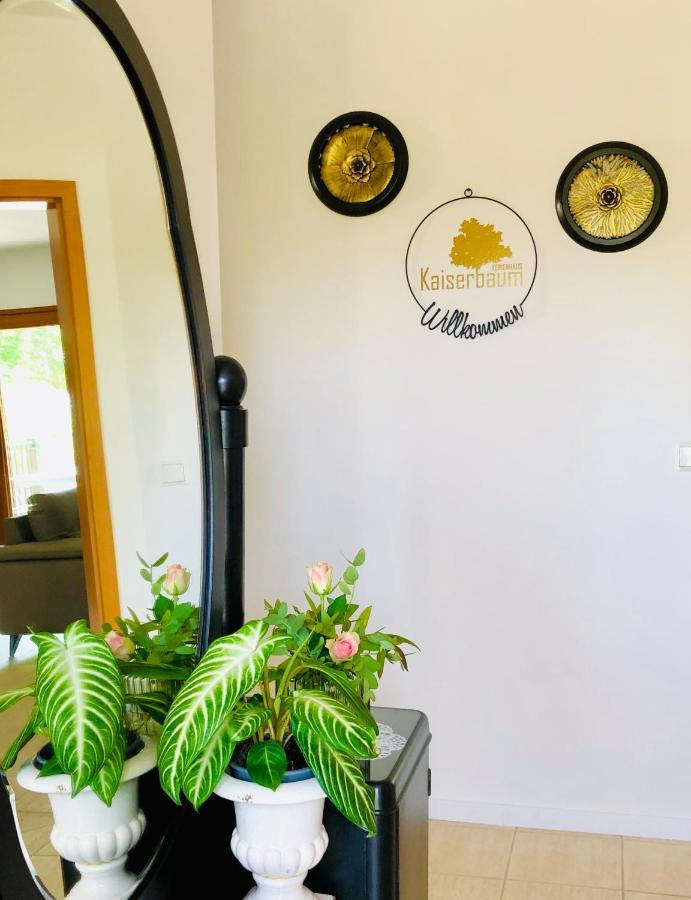 Ferienhaus Kaiserbaum イルミッツ エクステリア 写真
